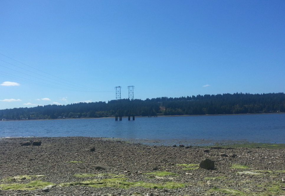 NORTH BAY Clam and Oyster Beach 시애틀 한인 커뮤니티 케이 시애틀