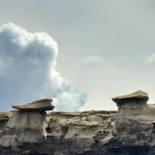 여기 지구 맞아요?