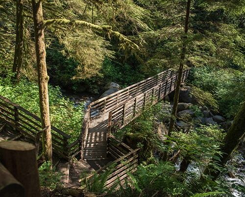 캐빈을 빌릴 수 있는 워싱턴 주립공원 21곳