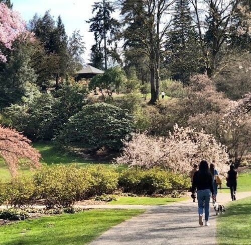 아직도 안 가봤나요? 아름다운 워싱턴수목원 ‘Washington Park Arboretum’