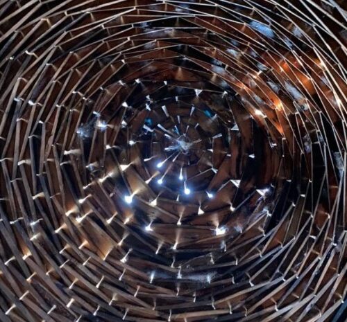 벨뷰에 이런 곳이? 입장료 무료! Bellevue Botanical Garden