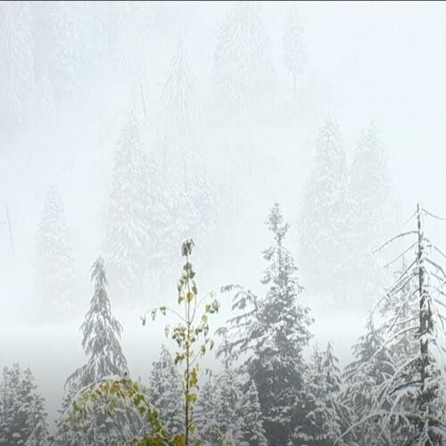 11월 1일부터 산간도로 지날 때 체인 소지해야…적발 시 ‘100불’