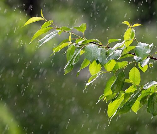 홍수 사태 이렇게 대비하자! 모두 안전하게 지내세요!