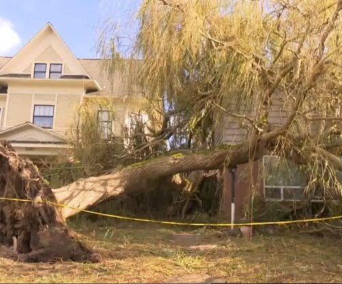 주말새 ‘강풍 직격탄’에 20만 가구 정전…”아직 복구 다 안 돼”