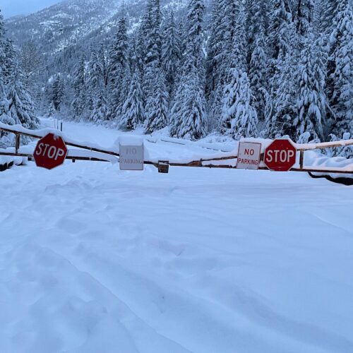 11월에 찾아온 ‘이른 겨울’ 30인치 내린 눈으로 20번 도로 겨우내 폐쇄