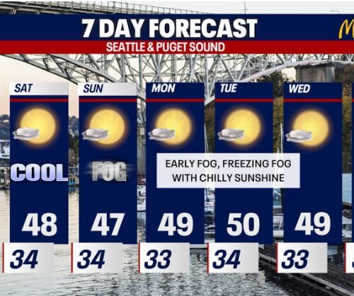 다음주도 쌀쌀한 날씨 계속…평년보다 낮은 기온 뚝 ↓