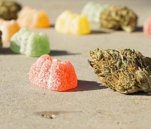 10대 10명 학교서 고통 호소해.. 알고 보니 대마초 과다 복용