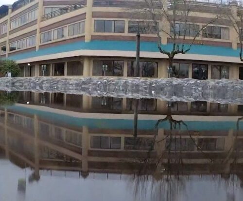 역대급 만조로 올림피아 다운타운 물에 잠겨 해파리 목격