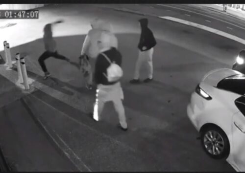 연방 불법인 마리화나, 보험 가입 안되는 사업주들만 침입 손실 막심