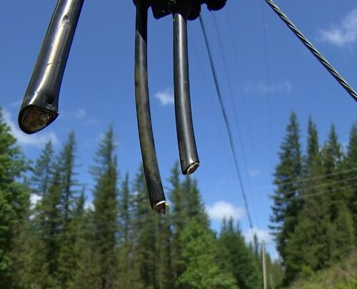 구리선 도둑질에 전화·인터넷 끊긴 킹 카운티 시골 주민들