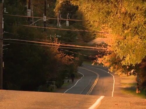 개 산책시키던 여성에 총 겨누고 납치·성폭행