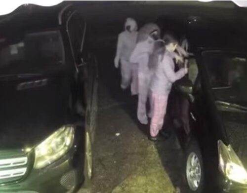 벨뷰 경찰, 차량 20여대 칩입한 13~16세 3명 체포