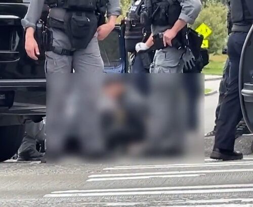 시애틀 12~15세 어린이 5명, 연쇄 차량 절도·경찰 추격전 끝에 체포