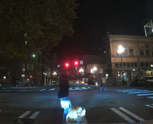 시애틀 다운타운 최소 20발 총격…피해자 중상