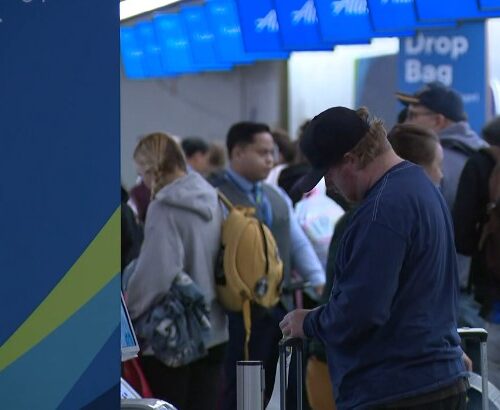 시택 국제공항 사이버 공격, 수만명 여행객 차질 빚어