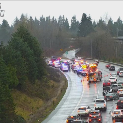 크리스마스 I-5 한복판서 순찰차 강탈…추격전 끝 용의자 체포