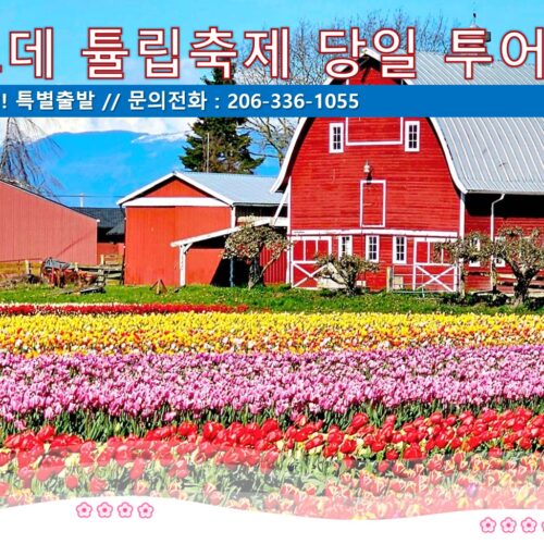 [푸른투어] 루젠가르데 튤립축제 당일 투어 $125