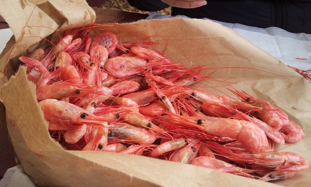 20120428_122352.jpg