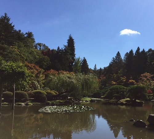 Seattle Japanese garden