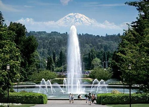 워싱턴 주립대학교 University of Washington