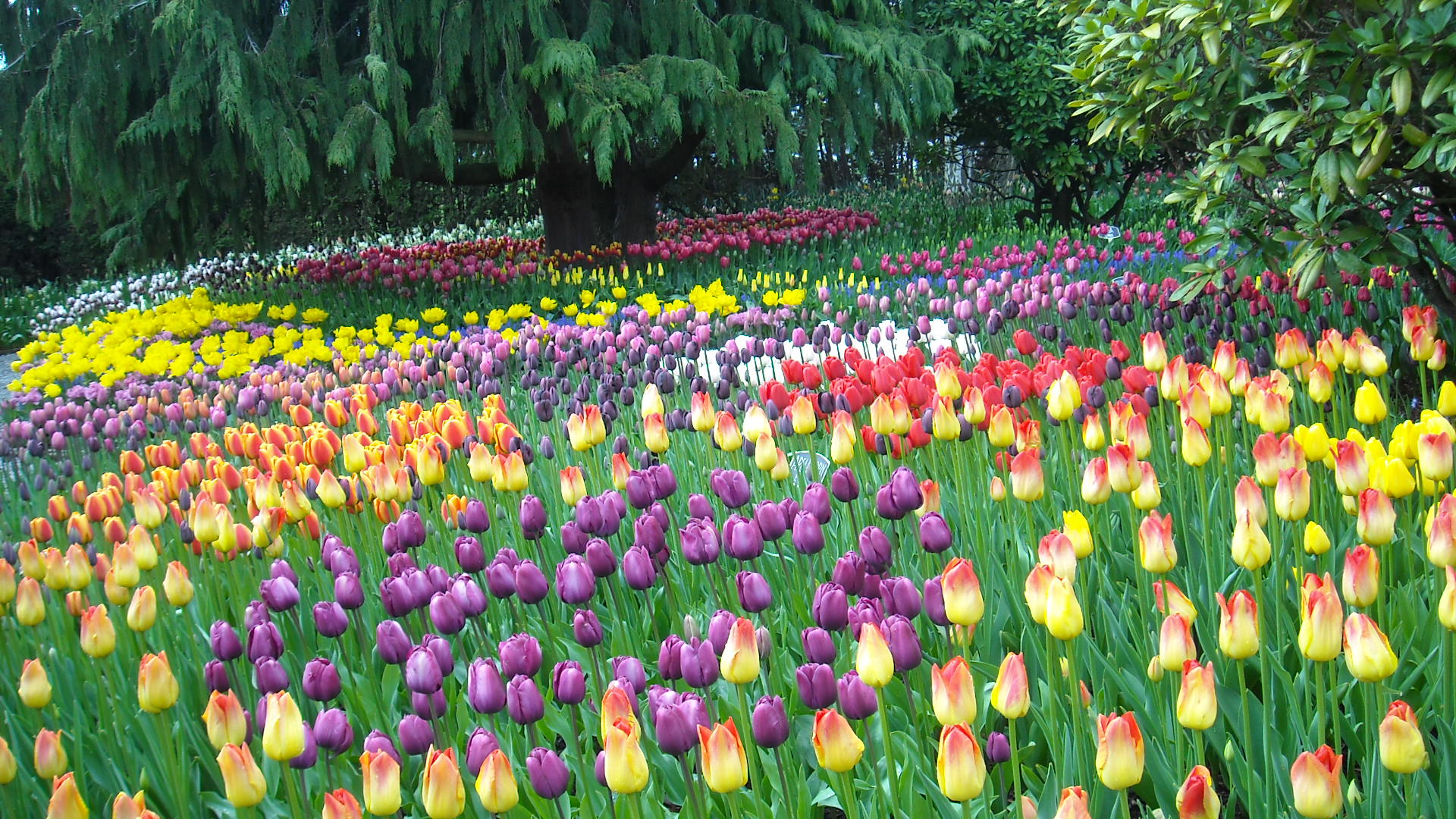 DSCN0196.JPG