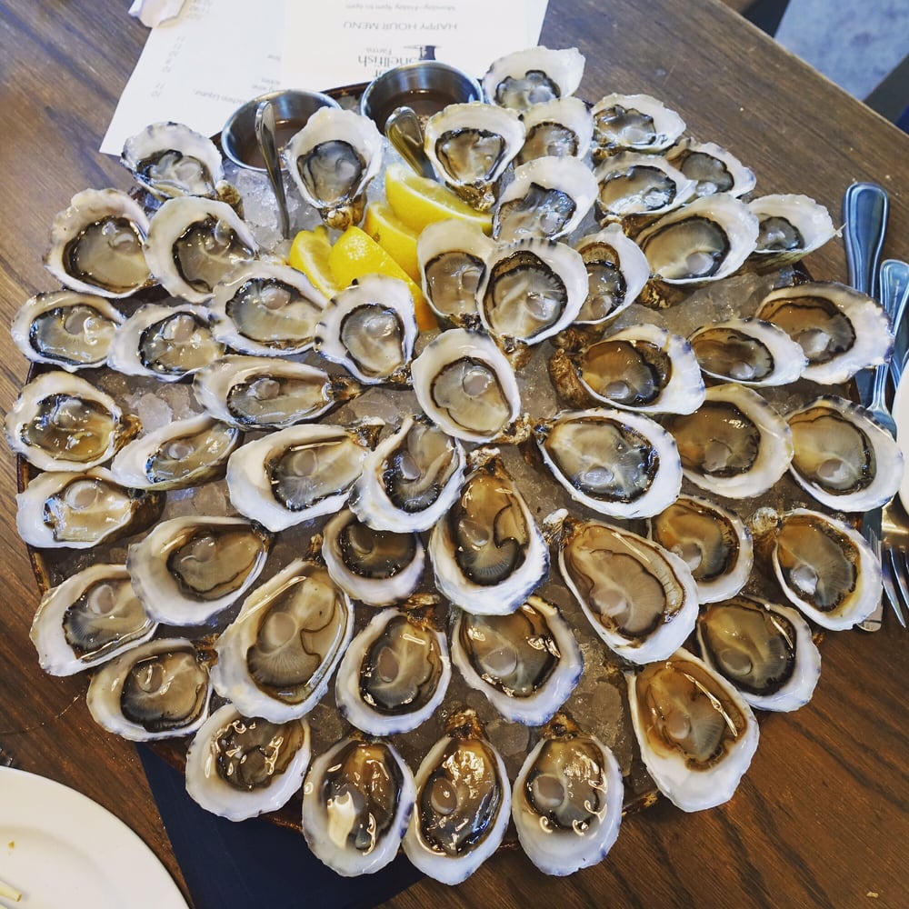 퀀 앤 Queen Anne Oysters.jpg