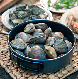 마닐라 조개 Manila Clams.jpg