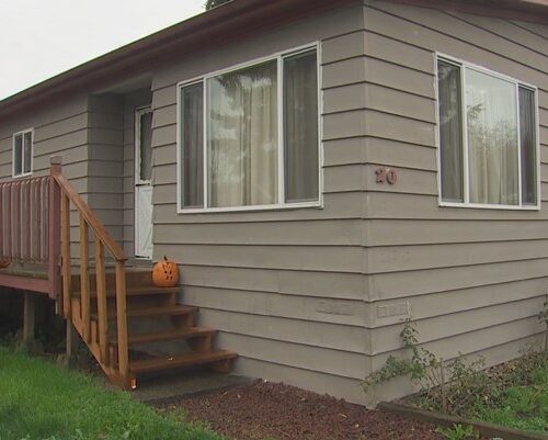 쇼어라인 총격전 범인 검거