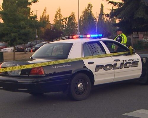 경찰견, 용의자 혹은 경찰을 물어 상해 입혀..