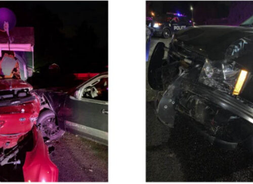 경찰차 들이받은 용의자 소란에 ‘엽총’ 들고 나온 주민이 총 쏴