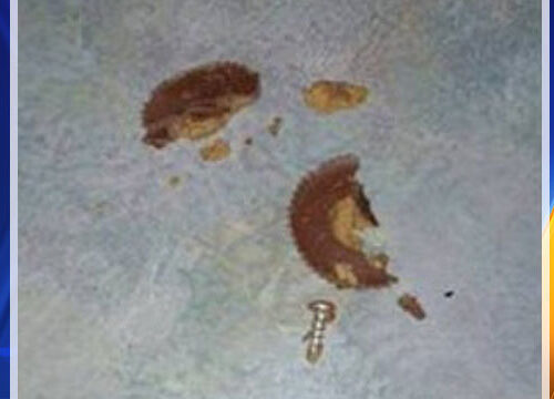 할로윈 캔디에서 나사, 못 나와