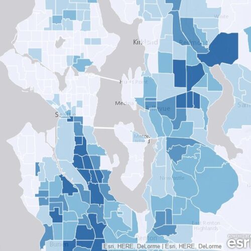 킹카운티 언어다양성, 다섯명 중 네명은 집에서 영어 안써