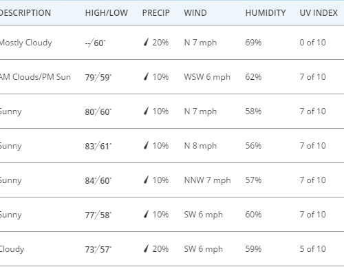한주간 날씨 & 소식