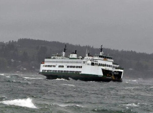 웨스턴 워싱턴의 5만 가구에 정전 발생해..