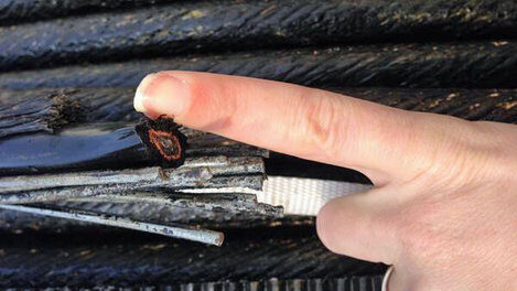 샌후앙 아일런드, 지진으로 전화및 데이타 망 마비 원인 가능성 제기