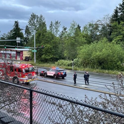퍼시픽 하이웨이에서 경찰이 음주운전 의심 용의자 총으로 쏴 숨져