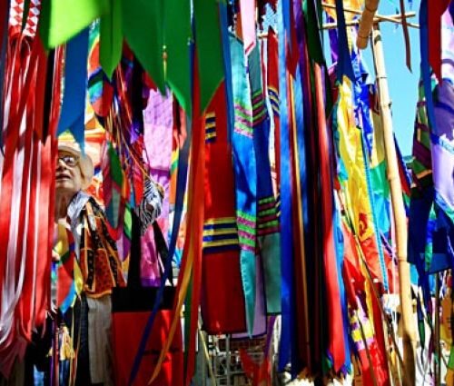 시애틀의 여름 축제 3탄