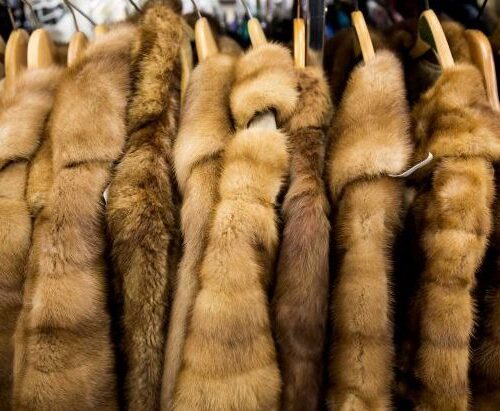 [사진] 굿윌, 이번주말 디자이너 상품이 한자리에 모이는 '글리터 세일'