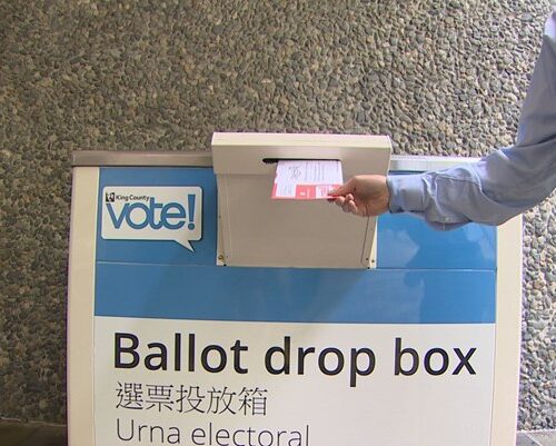 대선 날, 카운티 별 투표 드롭 박스 위치