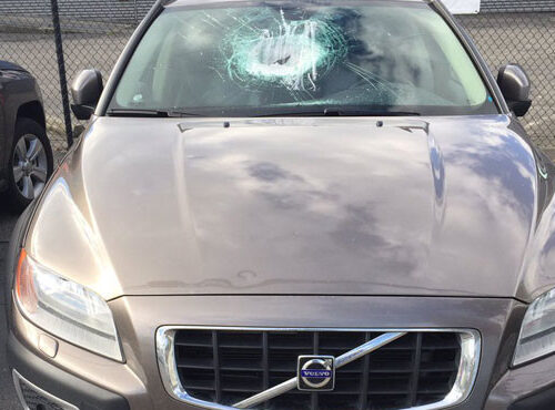 5번 고속도로 고가에서 달리는 차량으로 돌 던지는 용의자 수색중..