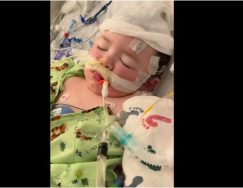 알링턴 연못에서 2살난 아기 물에 떠 있는 채 발견