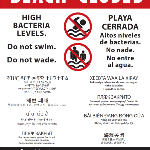 킹카운티 해변에 박테리아 조심하세요!