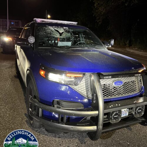 경찰 겨냥해 11kg 침목 던져 경찰차 ‘박살’…아찔했던 순간