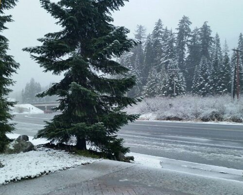 화이트 패스 스노퀄미(Snoqualmie, White Pass)에 첫눈 내려
