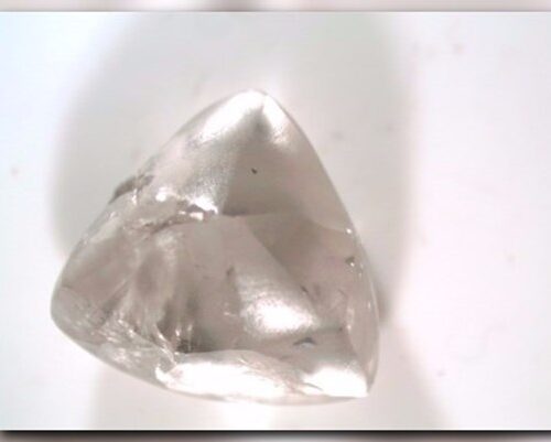 워싱턴 주 남성, 알칸사스(Arkansas) 공원에서 2.03 캐럿 짜리 다이아몬드 찾아