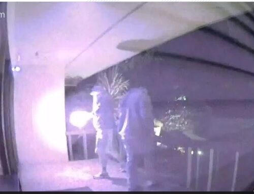 올림피아 공화당 사무실 건물 테러…창문 깨고 조명탄 던져