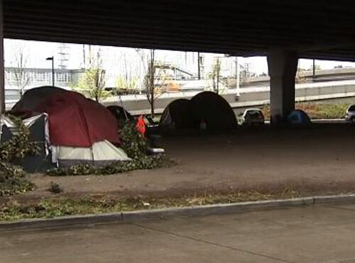 홈레스 캠프에서 굶주린 어린아이들 3명 발견돼