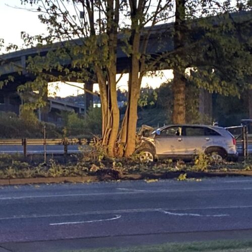 새벽 4시 렌톤에서 과속하던 40대 운전자, 나무 들이받고 숨져