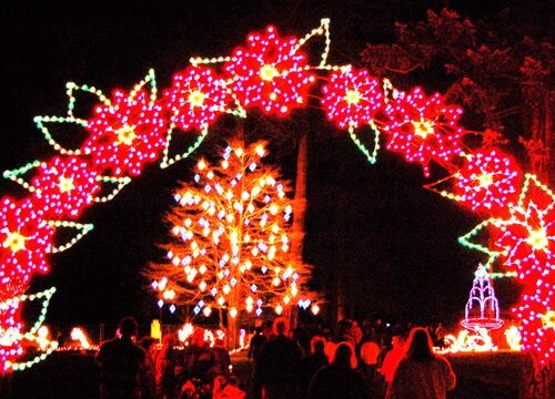 홀리데이 시즌 멋진 라이트 디스플레이 명소 10 곳