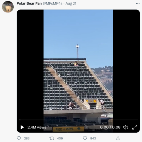 벌건 대낮 야구 경기장에서 부끄러운 행각 벌인 커플